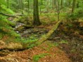 /album/kepgaleria-kezdolap/images-3-jpg/